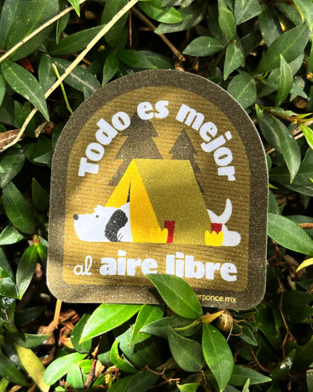 Camping y aire libre