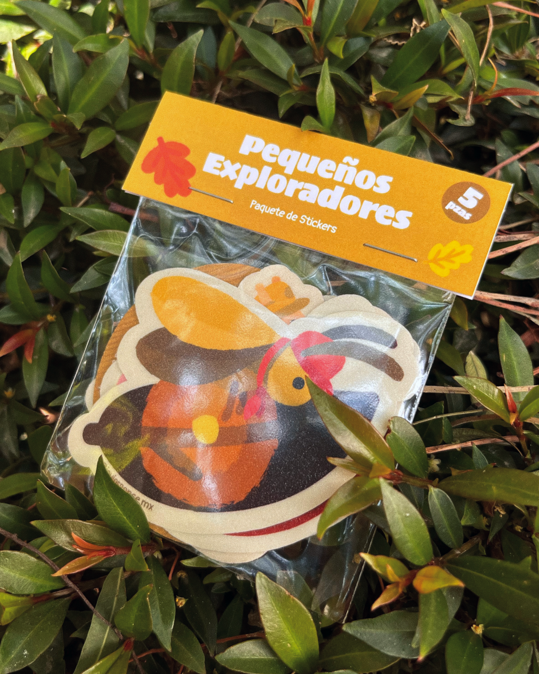 Paquete de Stickers: Pequeños Exploradores