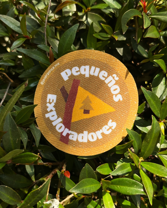 Paquete de Stickers: Pequeños Exploradores